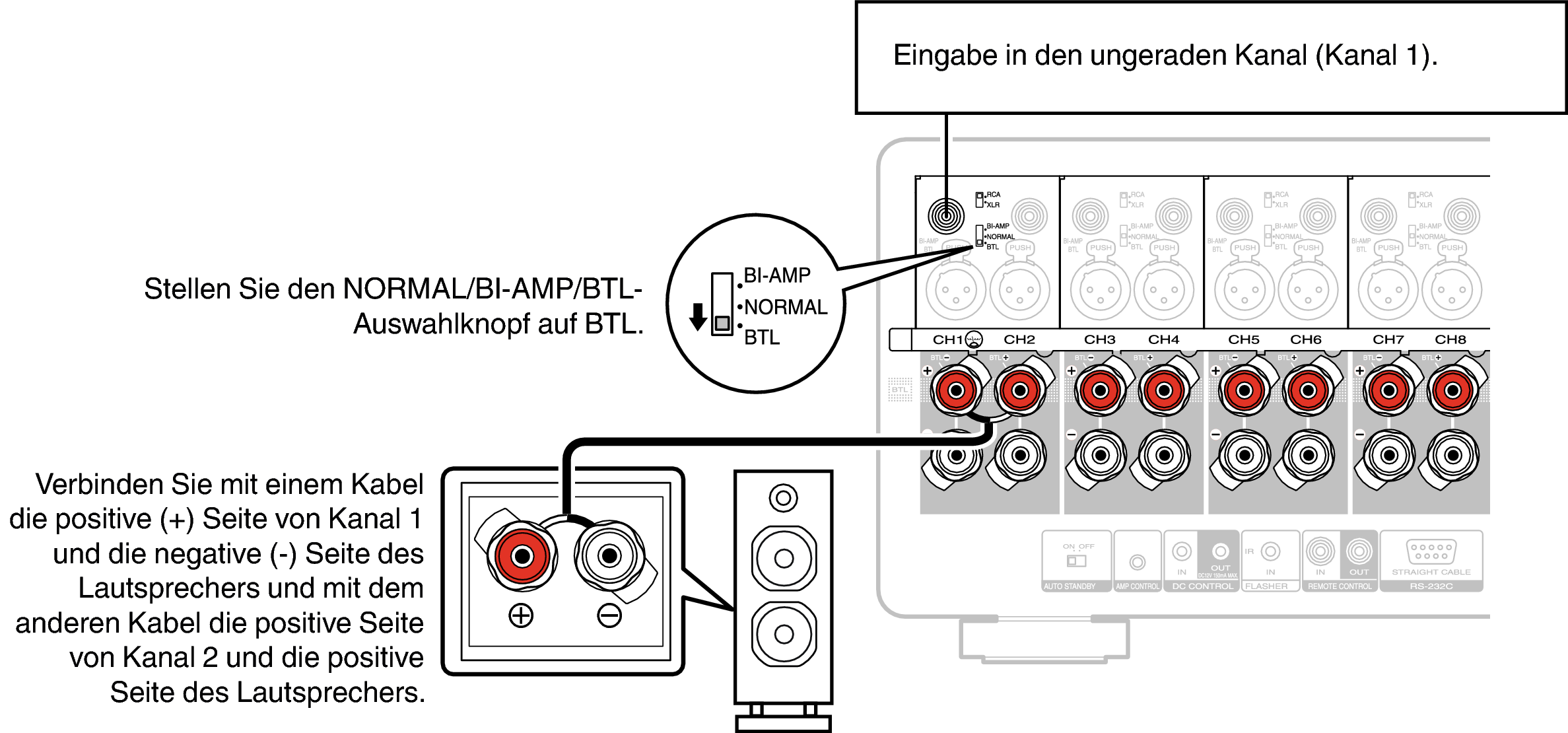 Conne SP BLT AMP10